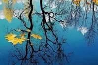 「装修刘哥」珍惜，真心对自己好的人！